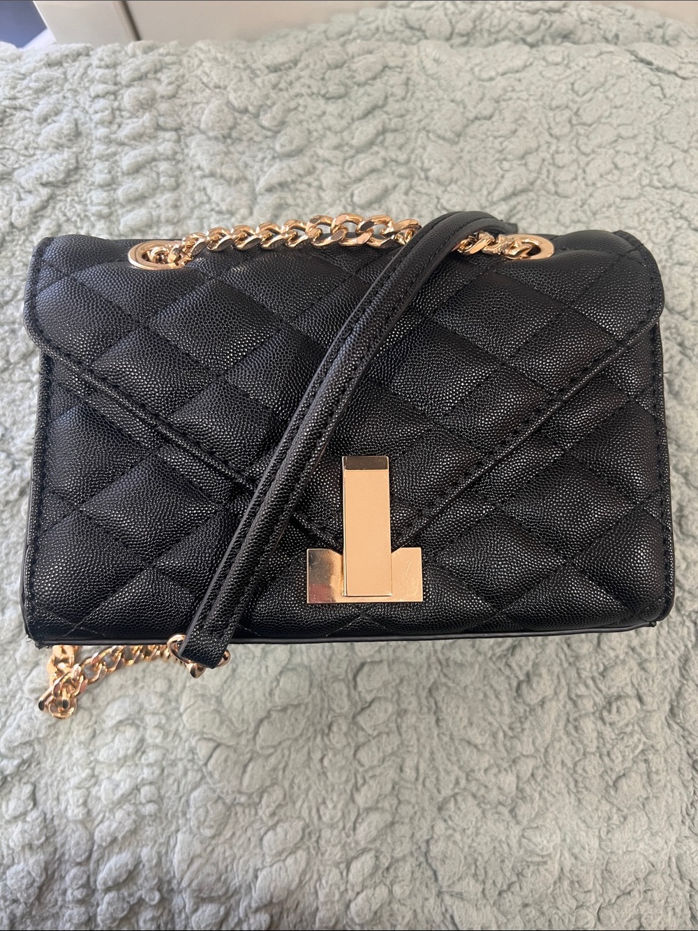 Aldo Black Quilted Crossbody Bag with Gold Hardware